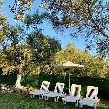 Endless Green: Feel Free And Cozy In Nature Perivólion Exterior foto