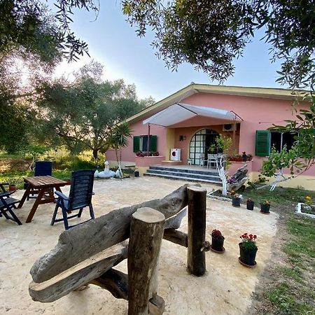 Endless Green: Feel Free And Cozy In Nature Perivólion Exterior foto