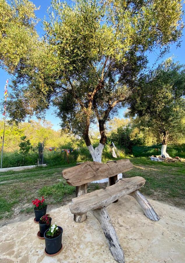Endless Green: Feel Free And Cozy In Nature Perivólion Exterior foto